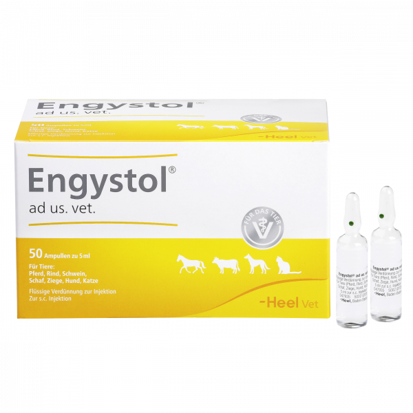 Symbolbild Engystol® ad us. vet.