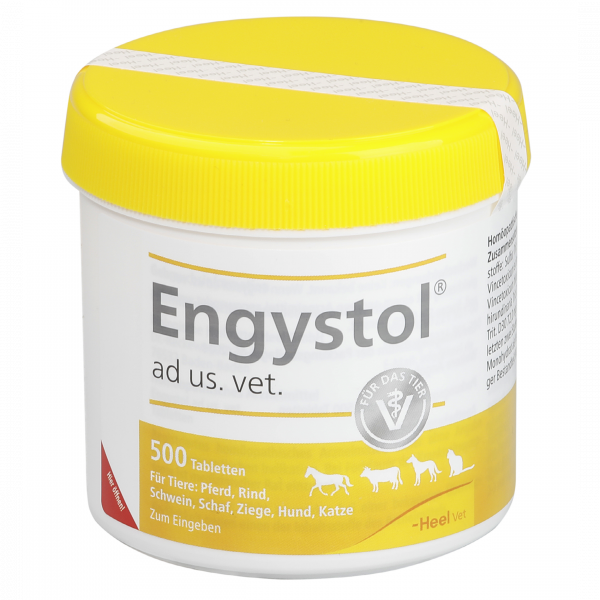Symbolbild Engystol® ad us. vet.